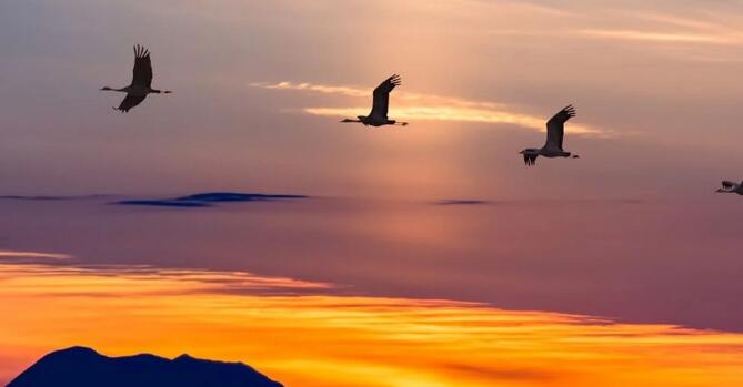 开源代理服务器-goproxy,用来能做什么,我可不告诉你