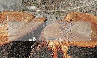 MySQL创建远程登陆用户实战演示