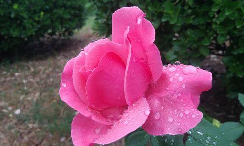 用MRTG监测Linux系统-MRTG安装监控